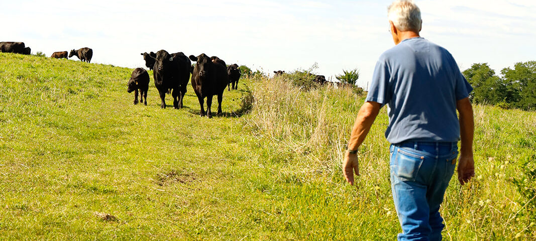Wisconsin Meadows Farmer