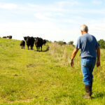 Wisconsin Meadows Farmer