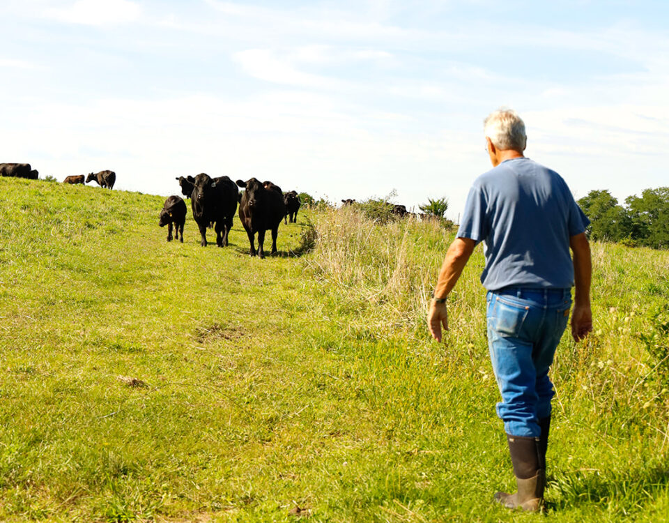 Wisconsin Meadows Farmer